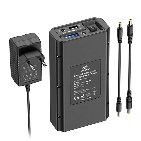 12 V Power Bank 6000 mAh Portable LiFePO4 Power Bank with Charger