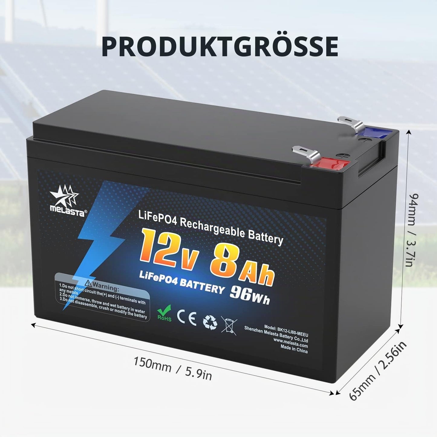 12V 8Ah LiFePO4 Battery