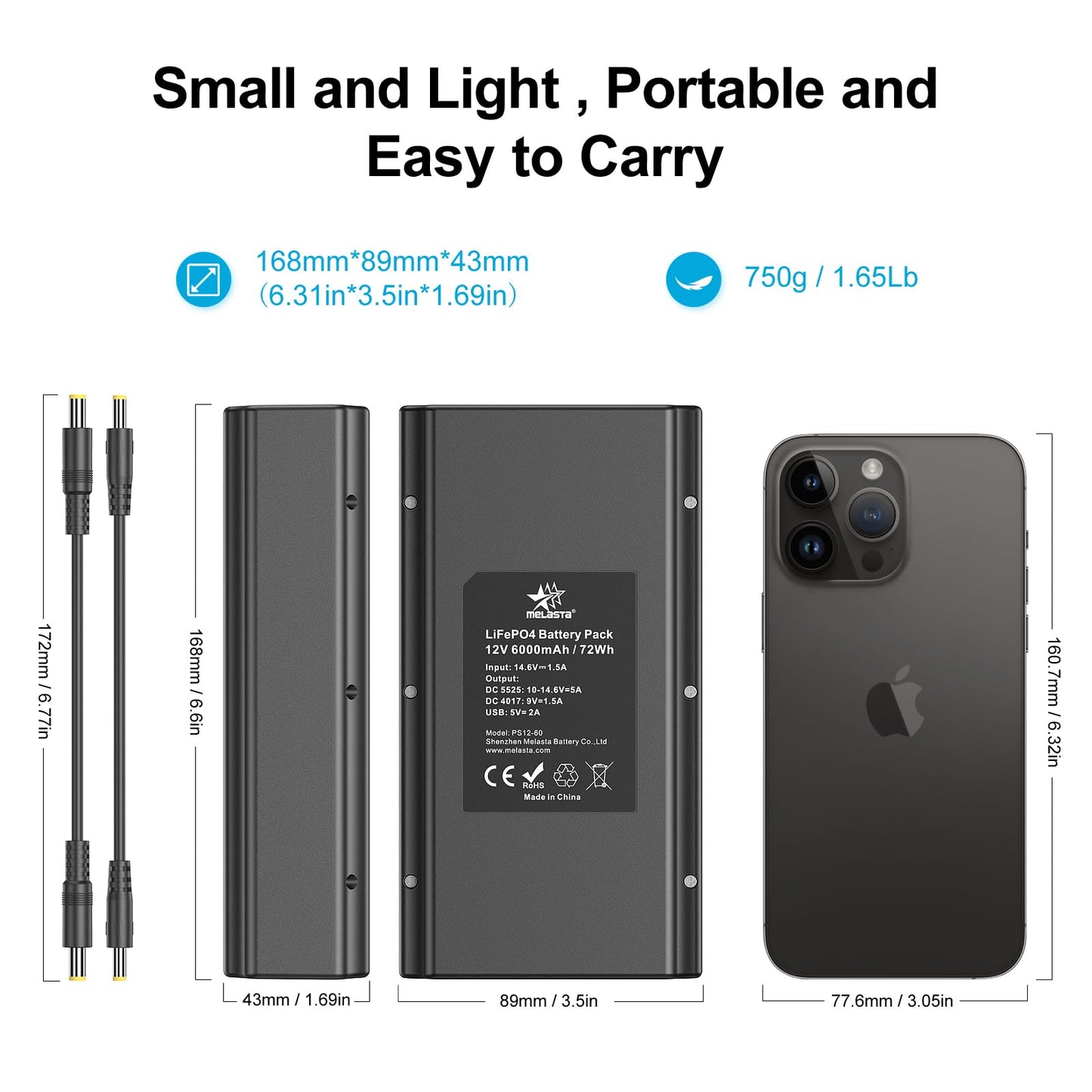 12 V Power Bank 6000 mAh Portable LiFePO4 Power Bank with Charger