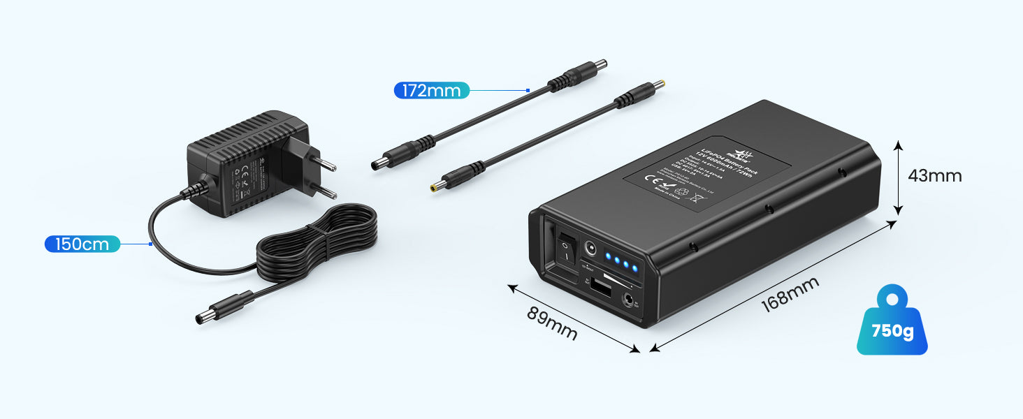 12 V Power Bank 6000 mAh Portable LiFePO4 Power Bank with Charger
