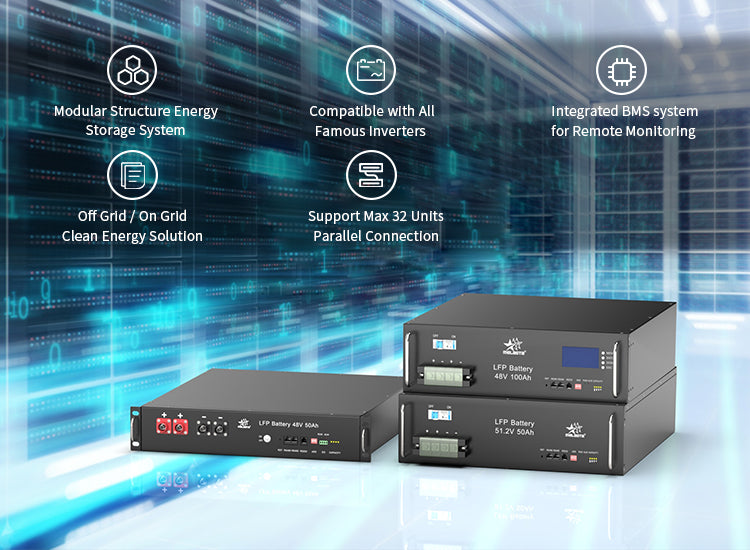 Smart 48V LiFePO4 Battery Module with Built-in BMS and LCD Display